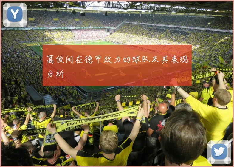 蒿俊闵在德甲效力的球队及其表现分析