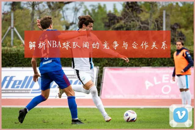 解析NBA球队间的竞争与合作关系