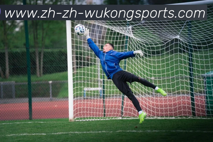 悟空体育APP 封面图